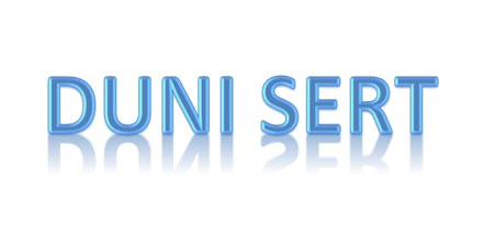 Dunimex - Manutenção de Motores - Duni Sert